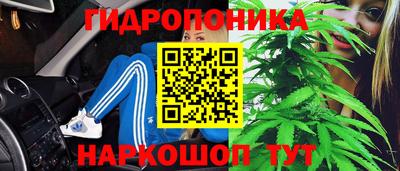 прущие крисы Брянск