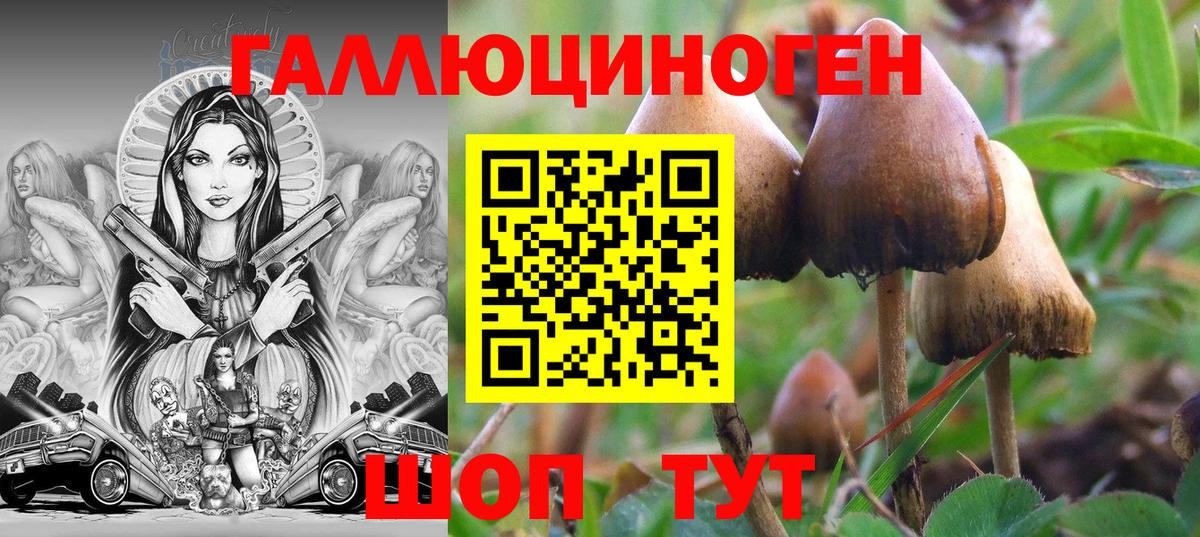 Галлюциногенные грибы Magic Shrooms  Вход с VPN  Дмитров 