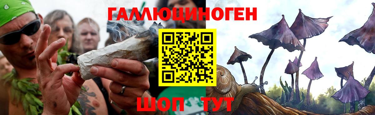 Галлюциногенные грибы ЛСД Дмитров